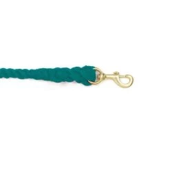 Equi-Essentials 3-Ply Cotton Lead W/Solid Brass Snap - Turquoise