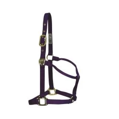 Western Rawhide Signature Classic Halter - Purple