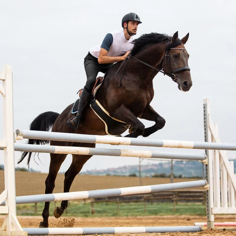 Horze Men's Grand Prix Full Seat Breeches - Black - Image 4