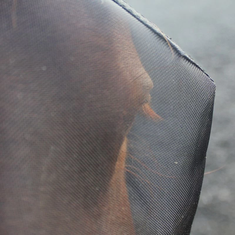 Woof Wear UV Fly Mask W/ 3D Ears - Black/Blue - Image 2