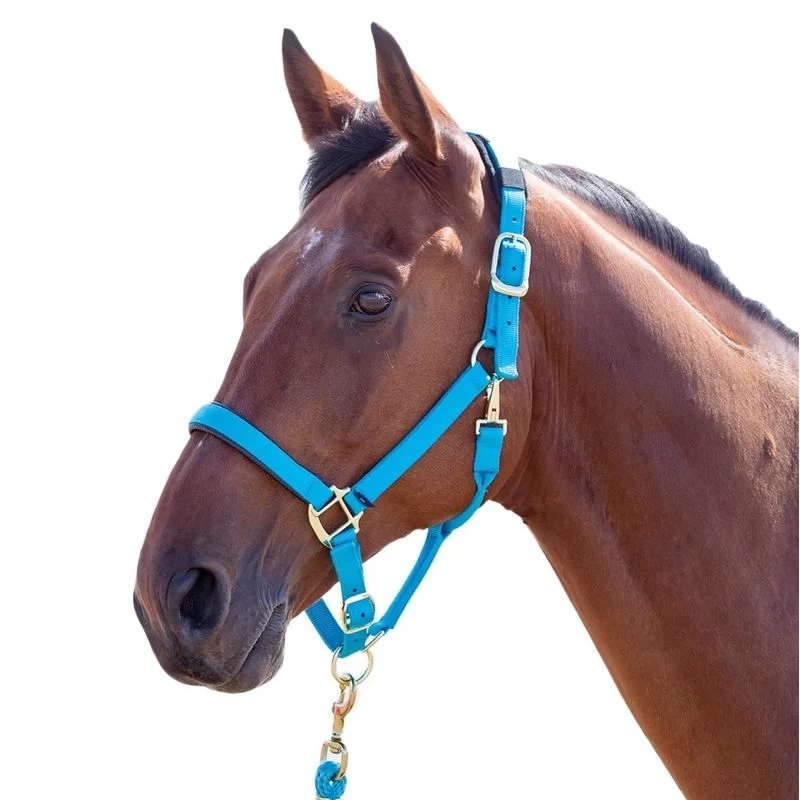 Shires Topaz Leather Breakaway Nylon Halter - Blue