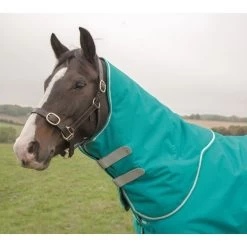 Shires Tempest Plus 200G Neck Cover - Teal