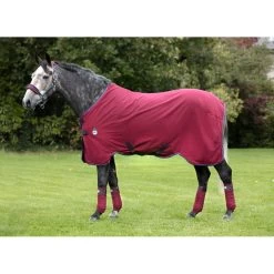 Rambo Helix Disc Front Stable Sheet - Burgundy/Burgund/Teal/Navy
