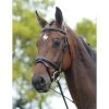 Kincade Padded Headpiece Flash Bridle - Black
