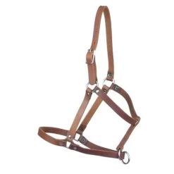 Western Rawhide Newborn Leather Halter - Brown