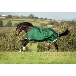 Rambo Original Turnout W/Leg Arches 100g - Green/Red