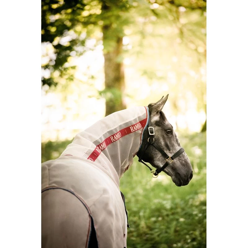 Rambo Protector W/Disc Front - Oatmeal/Cherry/Peach/Blue - Image 4