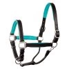 Perri's 1" Padded Leather Halter - Black/Turquoise