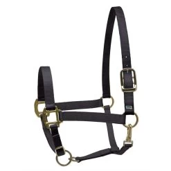 Perri's Nylon SuperHalter - Black