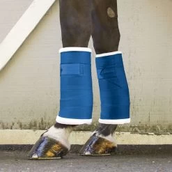 Toklat Standing Bandages - Blue