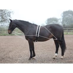 Shires Lunging Aid - Black