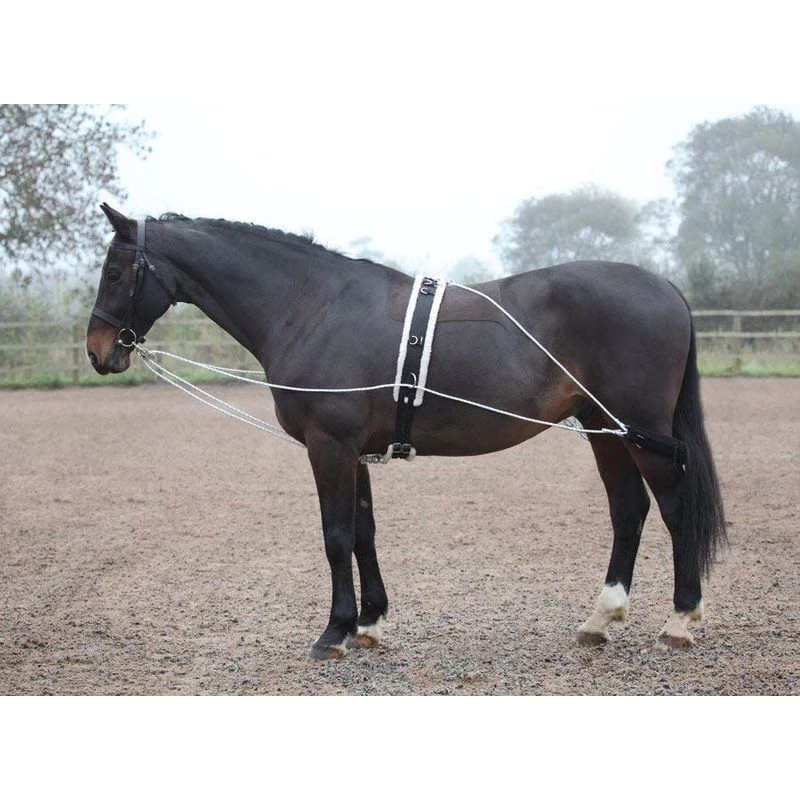 Shires Lunging Aid - Black