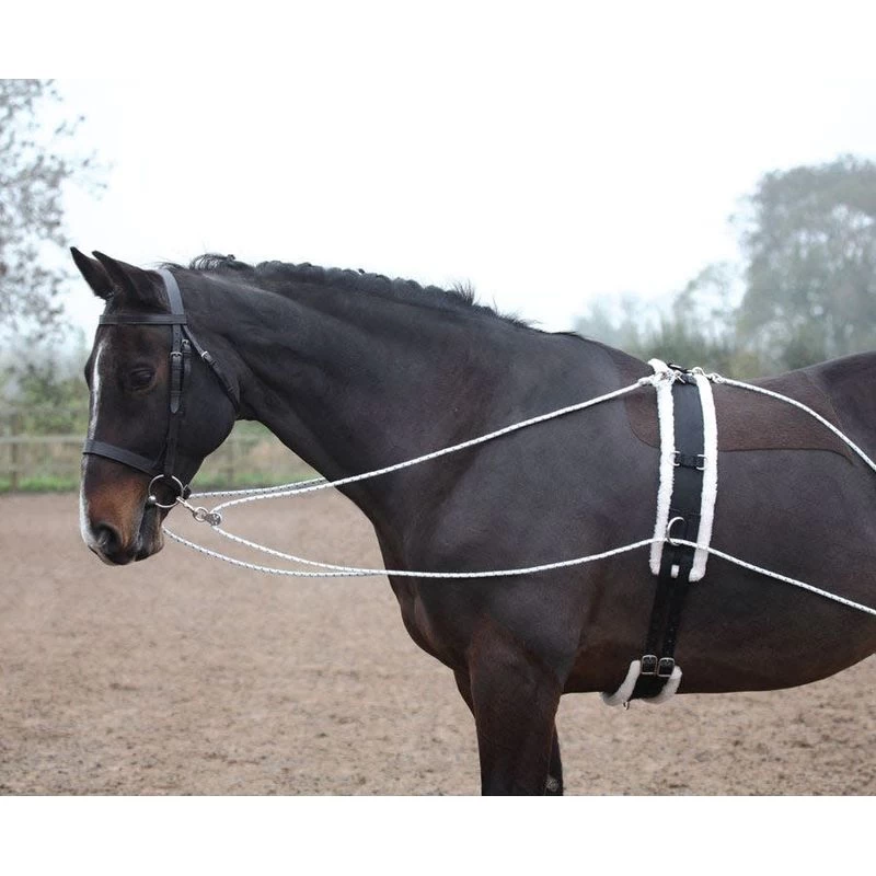 Shires Lunging Aid - Black - Image 2