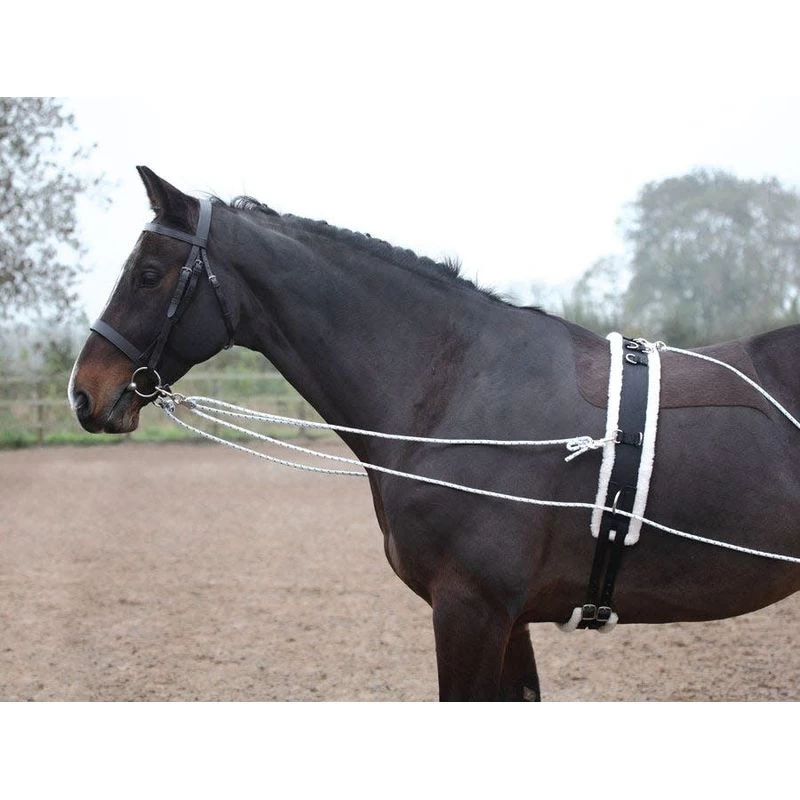 Shires Lunging Aid - Black - Image 3
