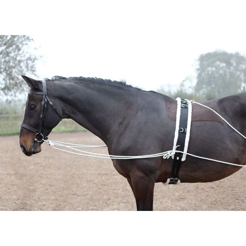 Shires Lunging Aid - Black - Image 4