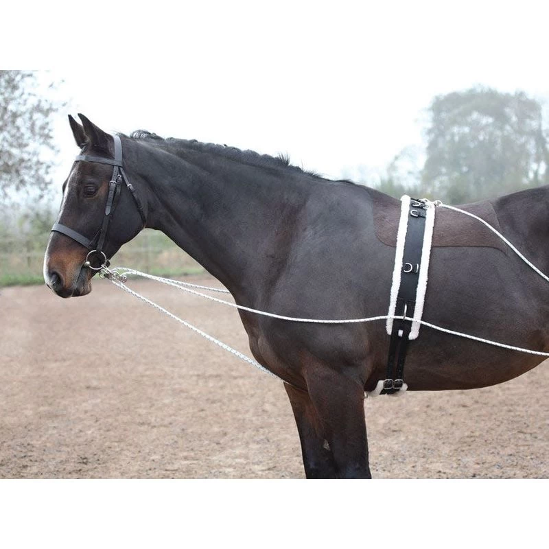 Shires Lunging Aid - Black - Image 5