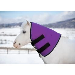 Kensington Mini/Pony Signature Neck Warmer 180G - Purple