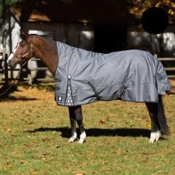 Equinavia Arktis Extended Neck Light Weight Turnout Blanket 100g - Charcoal Gray