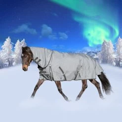 Equinavia Thunder360 Detachable Neck Heavy Weight Turnout Blanket 300g - Pewter Gray