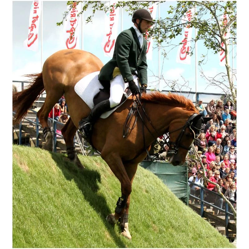 Tredstep Men's Verde Knee Patches Breeches - White - Image 3