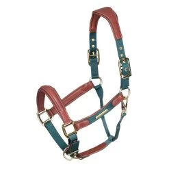 Shires Velociti Lusso Leather Breakaway Padded Halter - Green